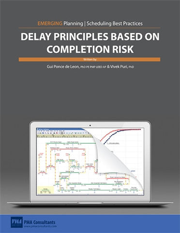 Delay Principles Based on Completion Risk Paper